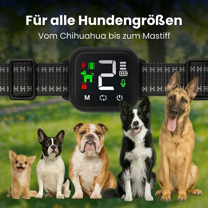 NooBark Halsband für Hunde aller Größen